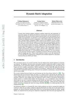 Dynamic Batch Adaptation