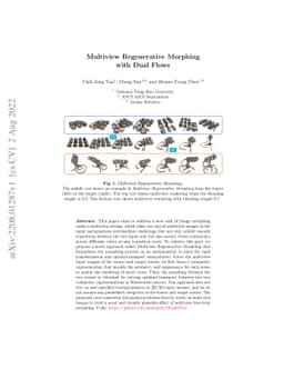 Multiview Regenerative Morphing with Dual Flows