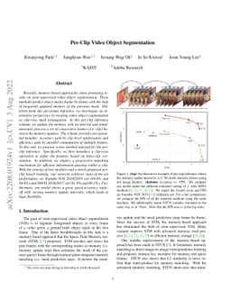Per-Clip Video Object Segmentation