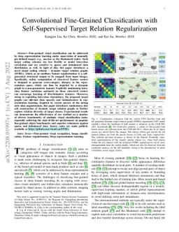 Convolutional Fine-Grained Classification with Self-Supervised Target
  Relation Regularization