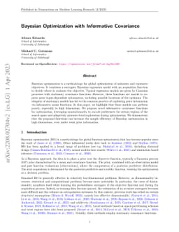 Bayesian Optimization with Informative Covariance