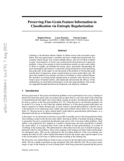 Preserving Fine-Grain Feature Information in Classification via Entropic
  Regularization