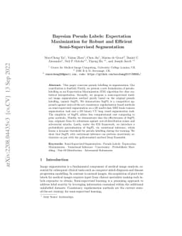 Bayesian Pseudo Labels: Expectation Maximization for Robust and
  Efficient Semi-Supervised Segmentation