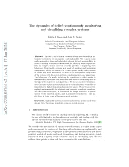 The dynamics of belief: continuously monitoring and visualising complex
  systems