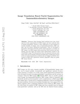 Image Translation Based Nuclei Segmentation for Immunohistochemistry
  Images