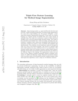 Triple-View Feature Learning for Medical Image Segmentation