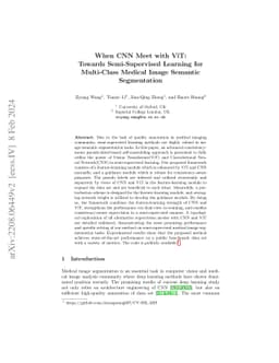 When CNN Meet with ViT: Towards Semi-Supervised Learning for Multi-Class
  Medical Image Semantic Segmentation