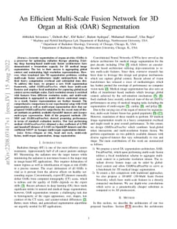An Efficient Multi-Scale Fusion Network for 3D Organ at Risk (OAR)
  Segmentation