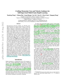 Crafting Monocular Cues and Velocity Guidance for Self-Supervised
  Multi-Frame Depth Learning