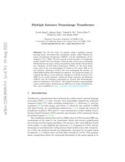 Multiple Instance Neuroimage Transformer