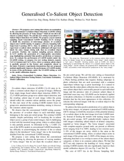 Generalised Co-Salient Object Detection