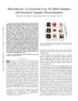 DiscrimLoss: A Universal Loss for Hard Samples and Incorrect Samples
  Discrimination