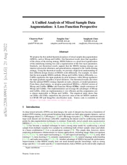A Unified Analysis of Mixed Sample Data Augmentation: A Loss Function
  Perspective