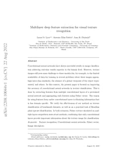 Multilayer deep feature extraction for visual texture recognition