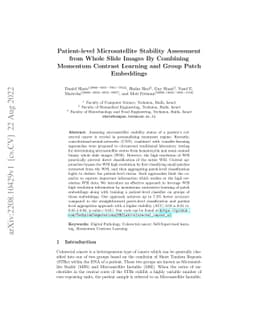 Patient-level Microsatellite Stability Assessment from Whole Slide
  Images By Combining Momentum Contrast Learning and Group Patch Embeddings