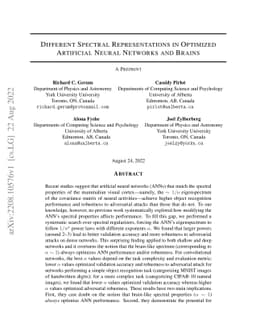 Different Spectral Representations in Optimized Artificial Neural
  Networks and Brains