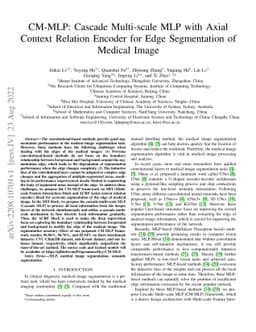 CM-MLP: Cascade Multi-scale MLP with Axial Context Relation Encoder for
  Edge Segmentation of Medical Image