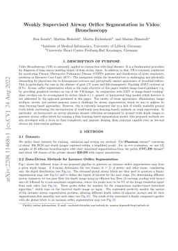 Weakly Supervised Airway Orifice Segmentation in Video Bronchoscopy