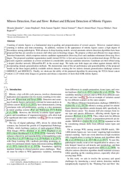 Mitosis Detection, Fast and Slow: Robust and Efficient Detection of
  Mitotic Figures