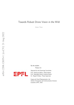 Towards Robust Drone Vision in the Wild