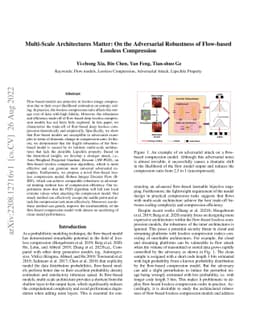 Multi-Scale Architectures Matter: On the Adversarial Robustness of
  Flow-based Lossless Compression