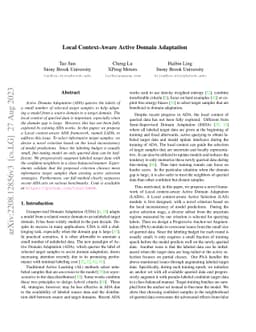 Local Context-Aware Active Domain Adaptation