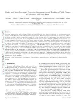 Weakly and Semi-Supervised Detection, Segmentation and Tracking of Table
  Grapes with Limited and Noisy Data