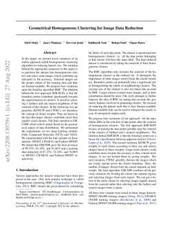 Geometrical Homogeneous Clustering for Image Data Reduction