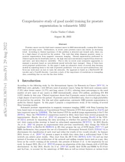 Comprehensive study of good model training for prostate segmentation in
  volumetric MRI