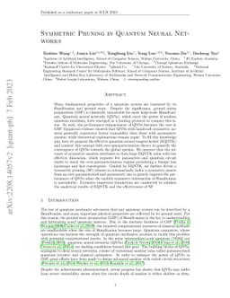 Symmetric Pruning in Quantum Neural Networks