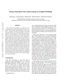 Instance-Dependent Noisy Label Learning via Graphical Modelling