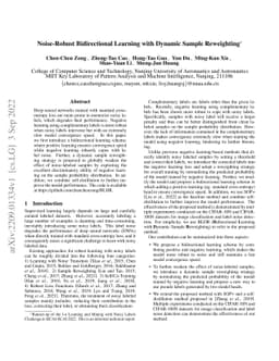 Noise-Robust Bidirectional Learning with Dynamic Sample Reweighting