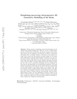 Morphology-preserving Autoregressive 3D Generative Modelling of the
  Brain
