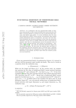 Functional dimension of feedforward ReLU neural networks