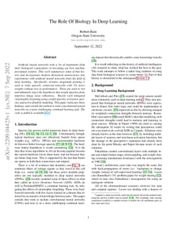 The Role Of Biology In Deep Learning