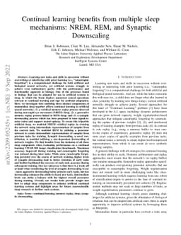 Continual learning benefits from multiple sleep mechanisms: NREM, REM,
  and Synaptic Downscaling