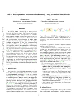 SeRP: Self-Supervised Representation Learning Using Perturbed Point
  Clouds