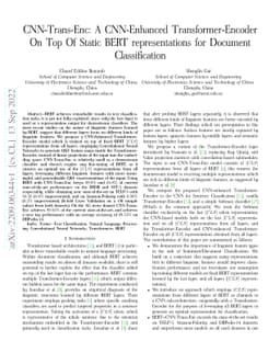 CNN-Trans-Enc: A CNN-Enhanced Transformer-Encoder On Top Of Static BERT
  representations for Document Classification