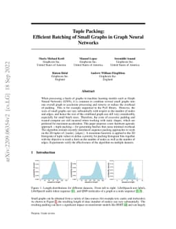 Tuple Packing: Efficient Batching of Small Graphs in Graph Neural
  Networks