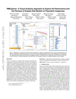 RMExplorer: A Visual Analytics Approach to Explore the Performance and
  the Fairness of Disease Risk Models on Population Subgroups