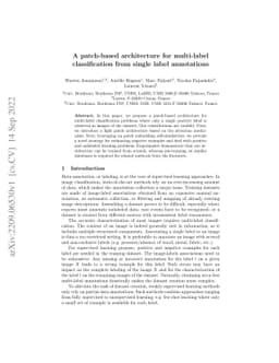 A patch-based architecture for multi-label classification from single
  label annotations