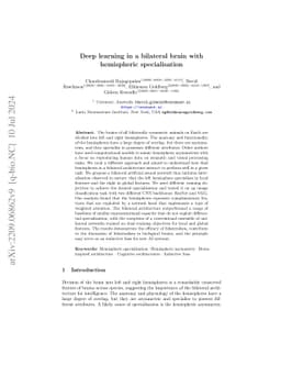 Deep learning in a bilateral brain with hemispheric specialization