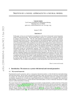 Sketch of a novel approach to a neural model