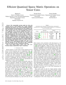 Efficient Quantized Sparse Matrix Operations on Tensor Cores