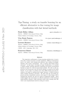 Top-Tuning: a study on transfer learning for an efficient alternative to
  fine tuning for image classification with fast kernel methods