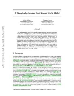A Biologically-Inspired Dual Stream World Model