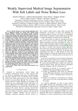 Weakly Supervised Medical Image Segmentation With Soft Labels and Noise
  Robust Loss