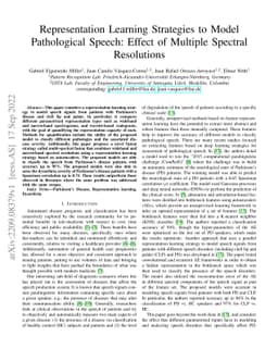 Representation Learning Strategies to Model Pathological Speech: Effect
  of Multiple Spectral Resolutions