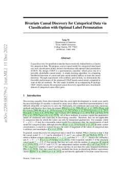 Bivariate Causal Discovery for Categorical Data via Classification with
  Optimal Label Permutation