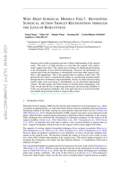 Why Deep Surgical Models Fail?: Revisiting Surgical Action Triplet
  Recognition through the Lens of Robustness